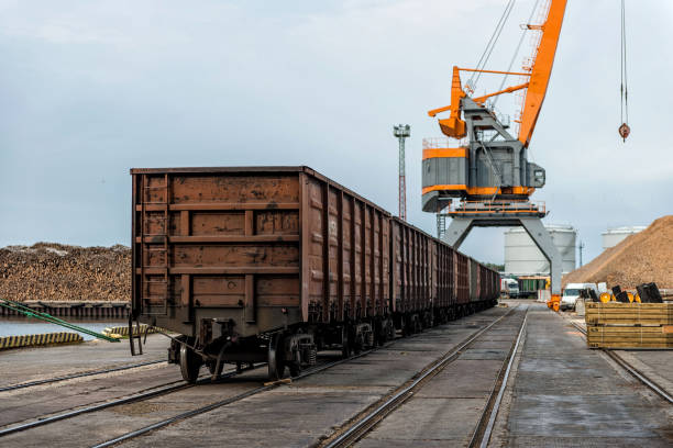 Freight train wagons at an industrial port with a large crane.